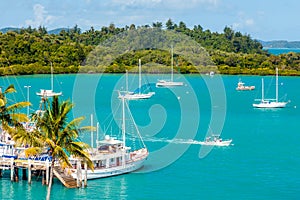 Yachts and boats in tropical marina