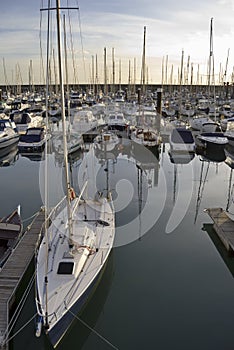 Yachts at Brighton Marina