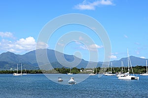 Yachts and catamarans in the marina at anchor. Philippines.