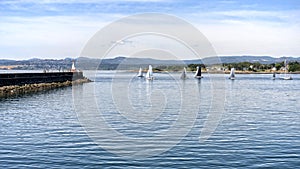 Yachts and catamarans in sailing races in sunny summer day. regatta is starting: sailboats go away to the Pacific ocean.