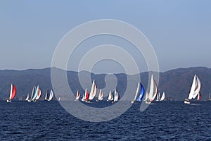 Yachts with colored spinnaker racing in Gocek