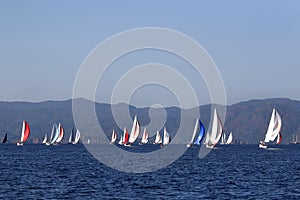The yachts colored with spinnaker racing in Marmaris