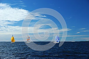 Yachts with colorful spinnakers