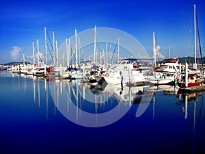 Yachts docked