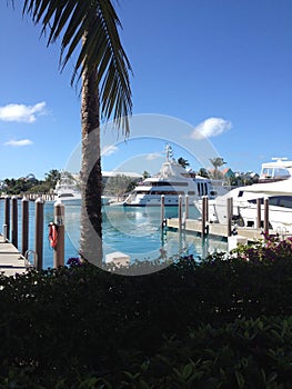 Yachts docked Atlantis marina