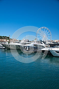 Yachts docked in Cannes,France