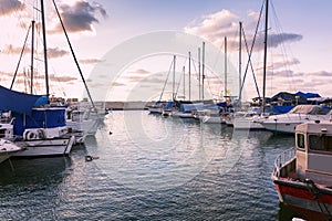 Yachts docked in marina, beautiful pink sunset