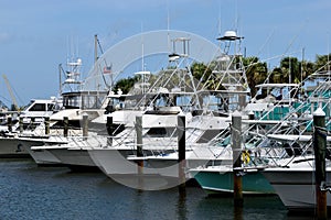 Yachts docked at marina in Florida