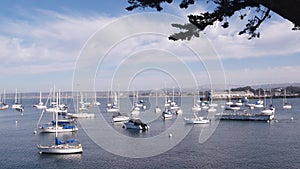 Yachts in harbor or bay, Monterey marina, Old Fishermans Wharf, California coast