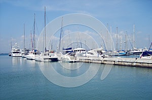 Yachts in harbour