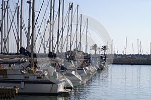 Yachts in Herzlia marina