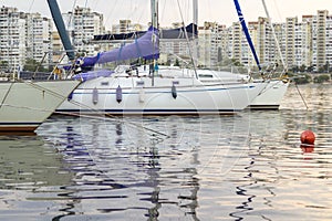 Yachts with high masts and lowered sails on the background of urban buildings