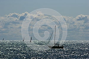 Yachts on Lake Ontario