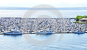 Yachts in a Marina