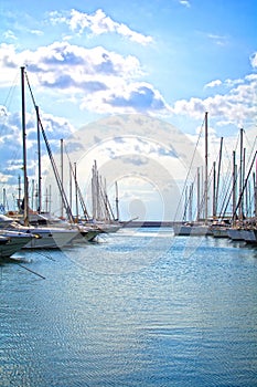 Yachts in a marina