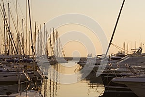 Yachts in a marina at the sunset.