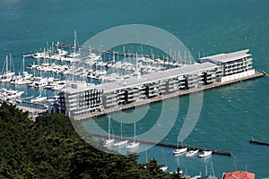 Yachts in marina, Wellington, New Zealand photo