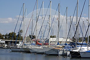 Yachts in marine