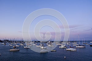 Yachts on monterey bay