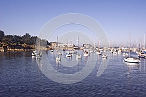 Yachts on Monterey Bay