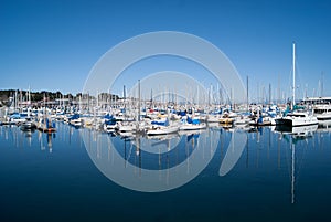 Yachts in Monterey Harbour