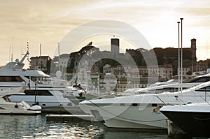 Yachts moored in Cannes