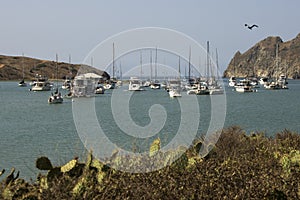 Yachts Moored at Catalina Harbor