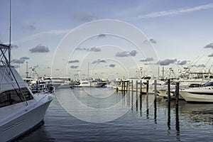 Yachts moored at keywest marina. Miami, Florida photo