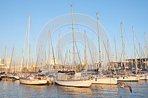 Yachts moored in the seaport. Boat parking with yachts on a sunny day. Sea harbor