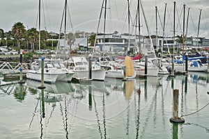Yachts and motor boats docked in Half Moon Bay marina on a calm day