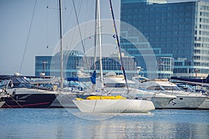 Yachts parking in harbor at sunset, Harbor yacht club