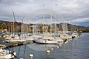 Yachts at Port de Pully Habor , Lake Geneva , Switzerland