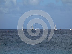 Yachts racing in an annual competition in the windward islands