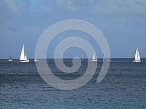 Yachts racing in an annual competition in the windward islands