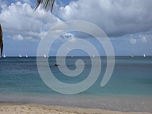 Yachts racing in an annual competition in the windward islands