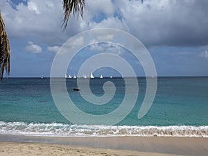 Yachts racing in an annual competition in the windward islands