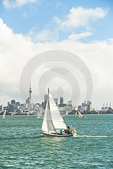 Yachts racing in auckland harbour