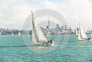 Yachts racing in auckland harbour