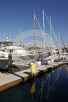 Yachts at Redondo beach photo