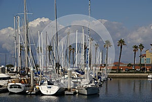 Yachts at Redondo beach photo