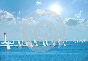 Yachts in the regatta photo