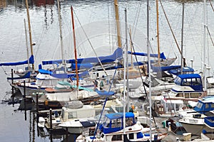 Yachts & sailboats.
