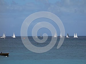 Yachts sailing in an annual competition in the caribbean