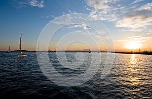 Yachts sailing in ocean