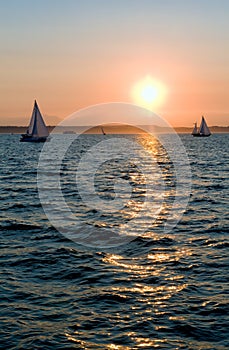 Yachts sailing at sunset