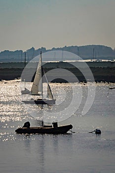 Yachts sailing at sunset