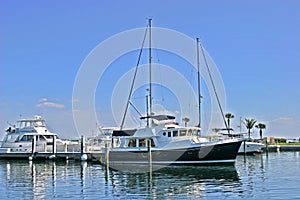 Yachts in Sarasota Bay