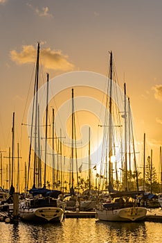 Yachts at sunset at Ala Wai Small Boat Harbor in Honolulu, Hawaii