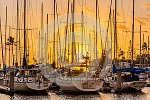 Yachts at sunset at Ala Wai Small Boat Harbor in Honolulu, Hawaii