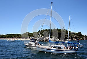 Yachts in Sydney Harbour